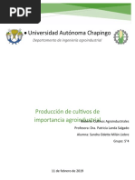 Tarea 1 Cultivos Agroindustriales