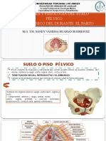 Anatomía y Fisiología Del Suelo Pélvico 1