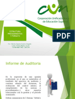 Estructura Formatos y Procedimientos de Auditoria