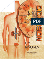 08 Los Riñones PDF