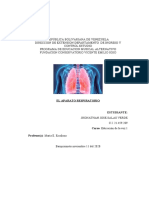 Informe Del El Aparato Respiratorio