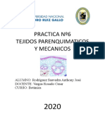 Tejidos Parenquimaticos