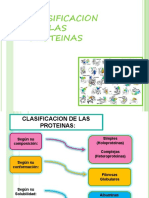 Clasificaion de Las Proteinas