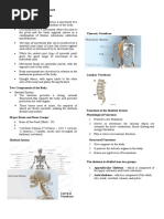 Movement Patterns: Exercise-Based