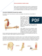 Palancas Presentes en Nuestro Cuerpo - Ficha 4