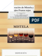 Elaboración de Mistela y Mojito Frutos Rojos-1