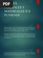 Limites Formales y Materiales Ius Puniendi