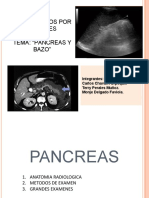 Expo Pancreas Bazo DPI