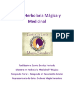 Taller Herbolaria Medicinal y Magica Completo