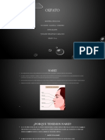 Trabajo Del Olfato Diapositivas