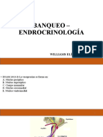 Banqueo - Endrocrinología 1