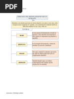 Trabajo N°2 de Anatomía y Fisiología Animal PDF