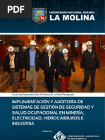 Implementación y Auditoría de Sistemas de Gestión de Seguridad y Salud Ocupacional en Minería, Electricidad, Hidrocarburos e Industria