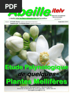 Abeille Itelv4 PDF