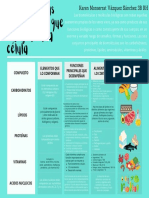 Cuadro Comparativo PDF