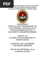 Practica N°9 Transporte de Electrones. Hilaccama PDF