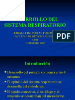 Desarrollo Del Sistema Respiratorio Embriologia Damian