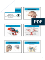 Cas Cliniques Neurochirurgie PDF