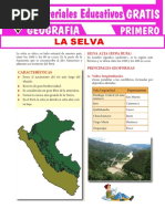 La Selva para Primer Grado de Secundaria