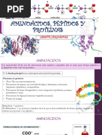 8aminoácidos, Péptidos y Proteínas