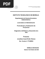 Diagnóstico Del Entorno y Desarrollo de La Idea