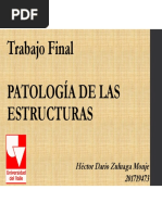 Trabajo Final PATOLOGÍA DE LAS ESTRUCTURAS 2017-12-15