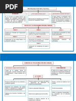 Programacion Multianual