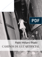 CAMINOS DE LUZ ARTIFICIAL (XXI. La República Democrática Alimaña) - Pablo Miñarro Prado