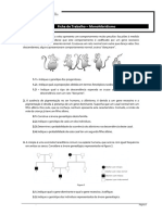 Ficha Trabalho 1 - Monohibridismo