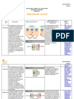 Taller 6 - Señalización Celular