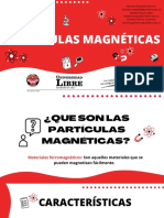 Particulas Magneticas PDF