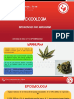 Intoxicación Por Marihuana