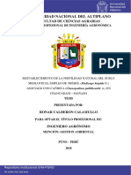 Calderon Calamullo Ronar PDF