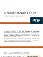 Neuroanatomía Clínica