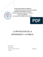 Trabajo Practico Sobre La Proteccion de La Maternidad y La Familia