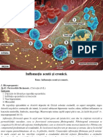 8 Inflamația Acută Şi Cronică - 24690