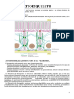 Biología Molecular - Resumen Del Alberts.