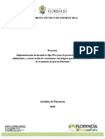 Documento Técnico PSA Florencia