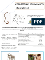 Nematoides Ruminantes