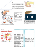 Patologia Pancreatica Quirurigca