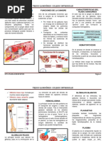 Triptico-Tejido Sanguíneo PDF