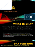 Deoxyribonucleic Acid