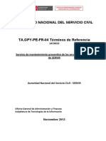 Servicio Mantenimiento Preventivo Servidores Datos SERVIR 2013 TDR