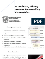 Tema 1. Microbiología