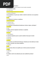 Autoevaluaciones Nutricionn