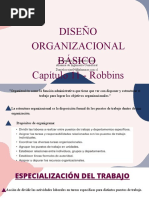 Cap 11 - Robbins