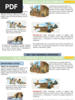 Bioseguridad en Una Avicola