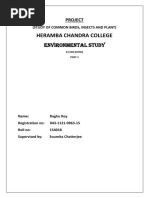 Heramba Chandra College: Environmental Study