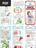 Triptico Anemia Ferropenica