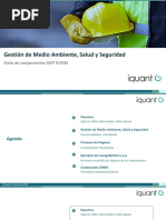 EHSM - Medio Ambiente Salud y Seguridad - Iquant PDF